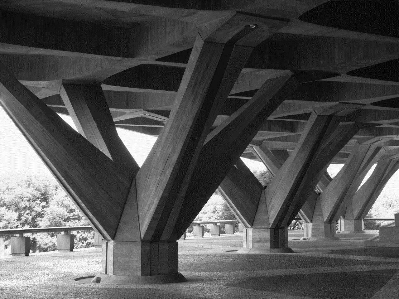CF005142-1